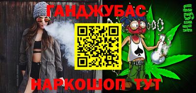 молекула духа Камышлов