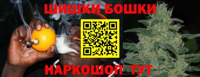 молекула духа Камышлов