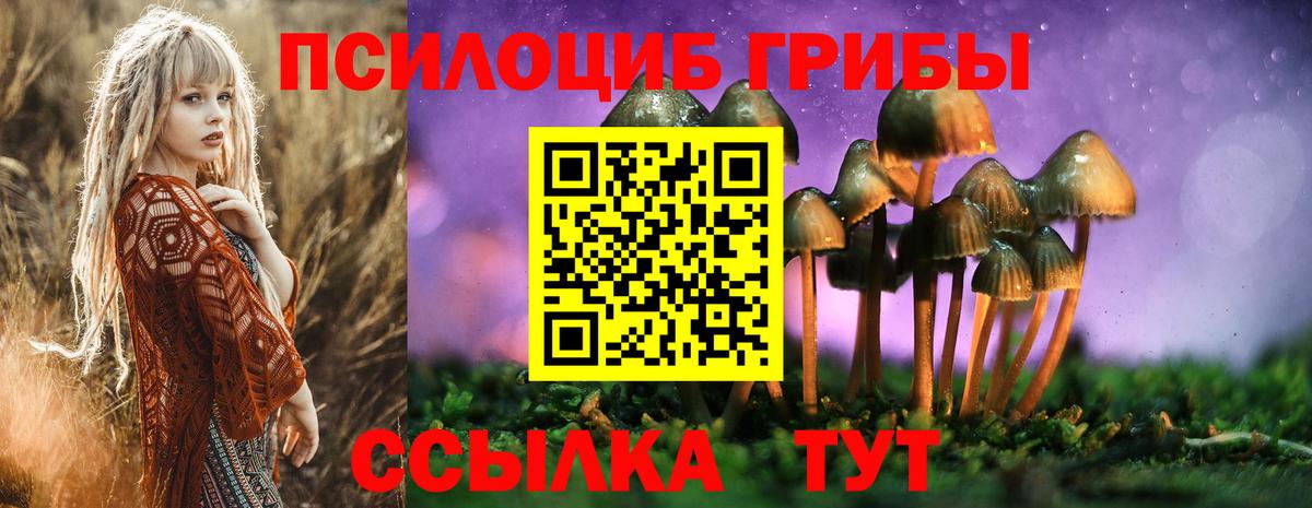 Псилоцибиновые грибы MAGIC MUSHROOMS Глазов